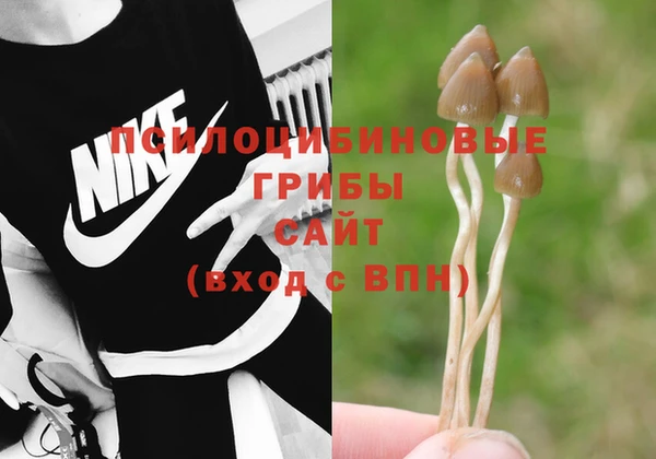 марки nbome Алзамай