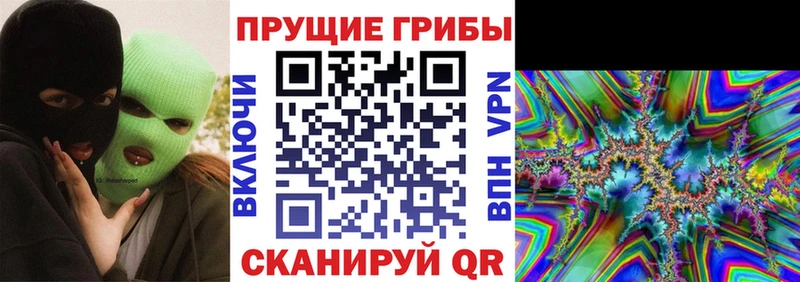 OMG вход  Рубцовск  Галлюциногенные грибы ЛСД 